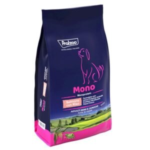 Junior e Adulti Mini con Salmone e Riso - 10 Kg