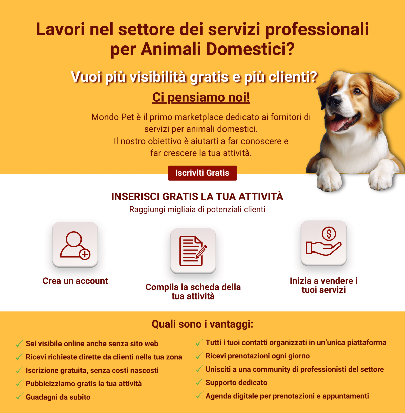 Grafica Landing Page Mondo Pet desktop